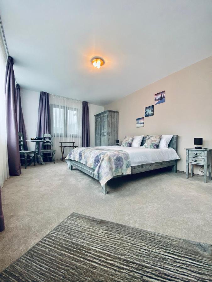 Casa Ankeli Bed and Breakfast Buşteni Buitenkant foto