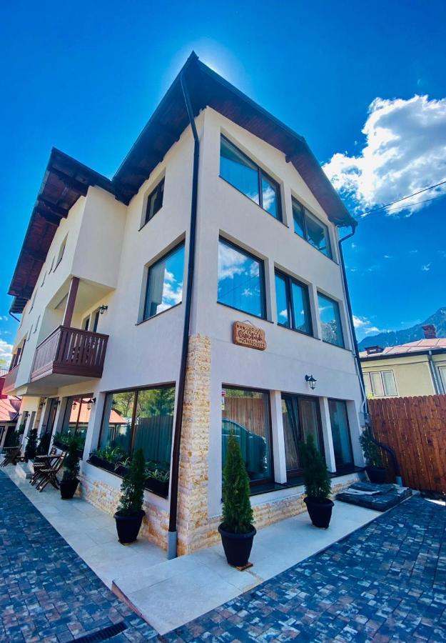Casa Ankeli Bed and Breakfast Buşteni Buitenkant foto