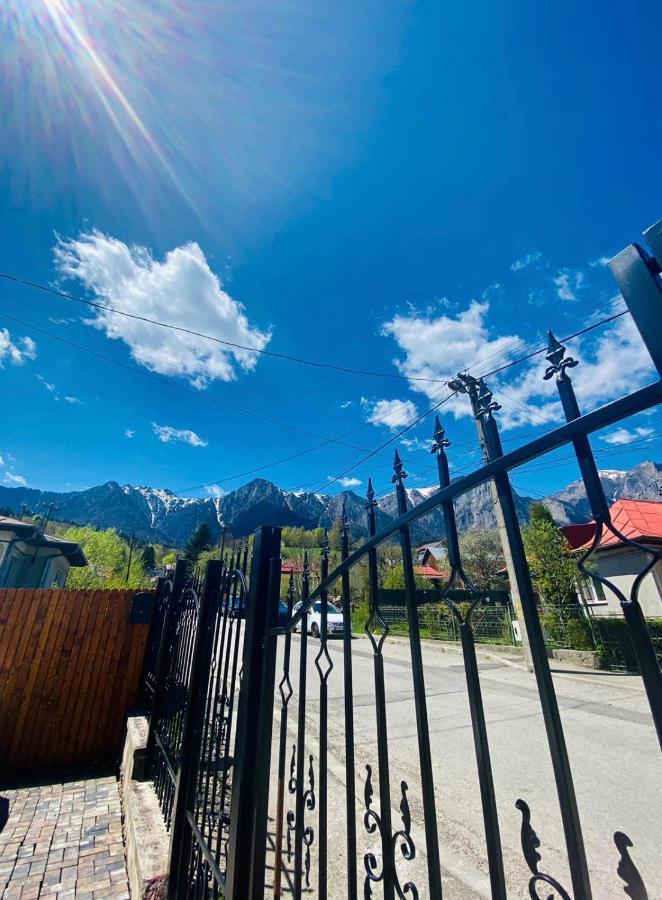 Casa Ankeli Bed and Breakfast Buşteni Buitenkant foto