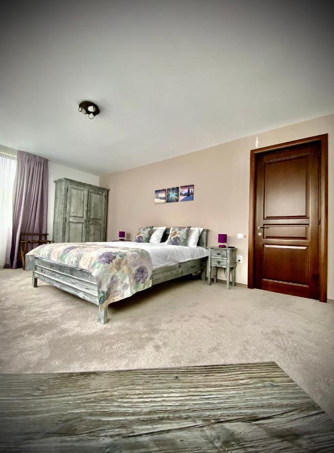 Casa Ankeli Bed and Breakfast Buşteni Buitenkant foto